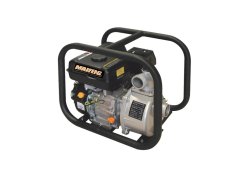 Maifeng Surface Water Pump WP20CXH